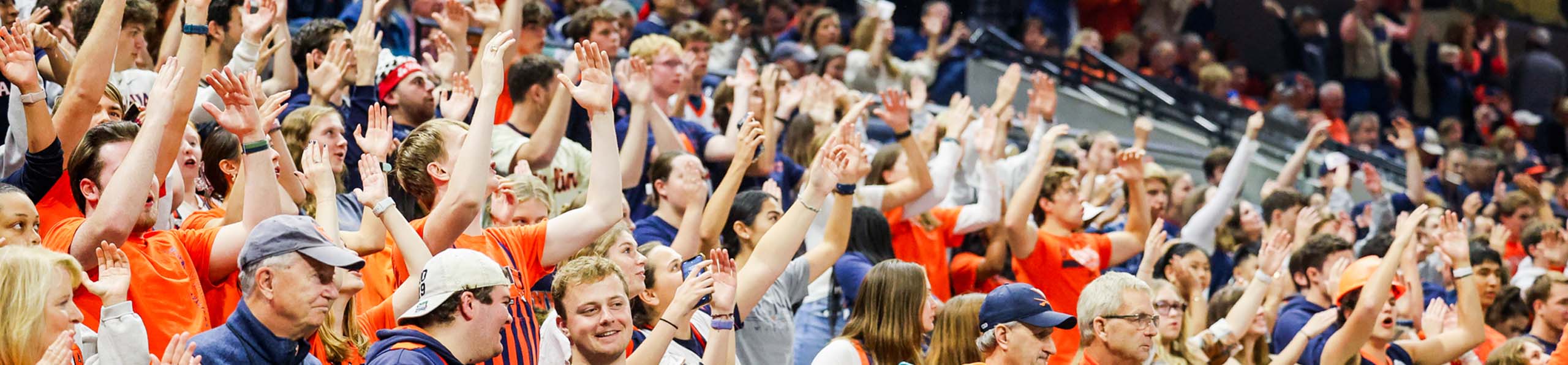 fans in the stands