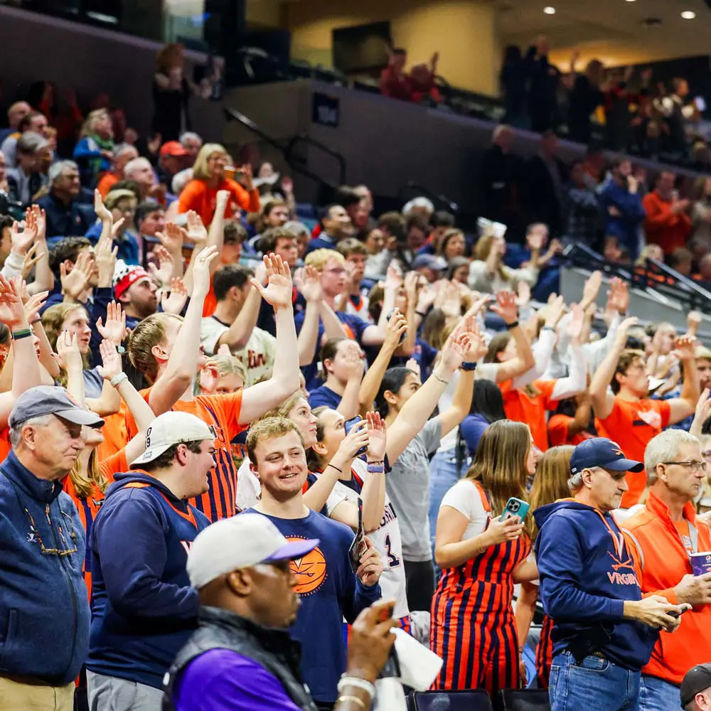 fans in the stands