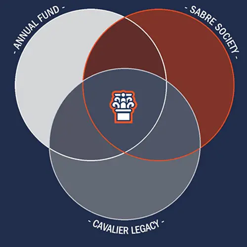 Venn diagram of the pillars