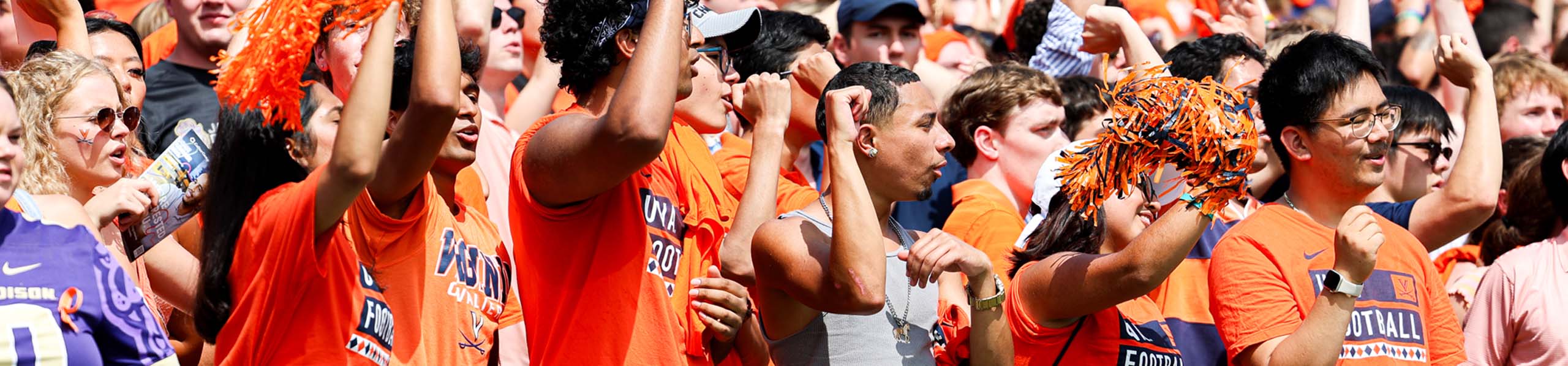 Fans in the stadium