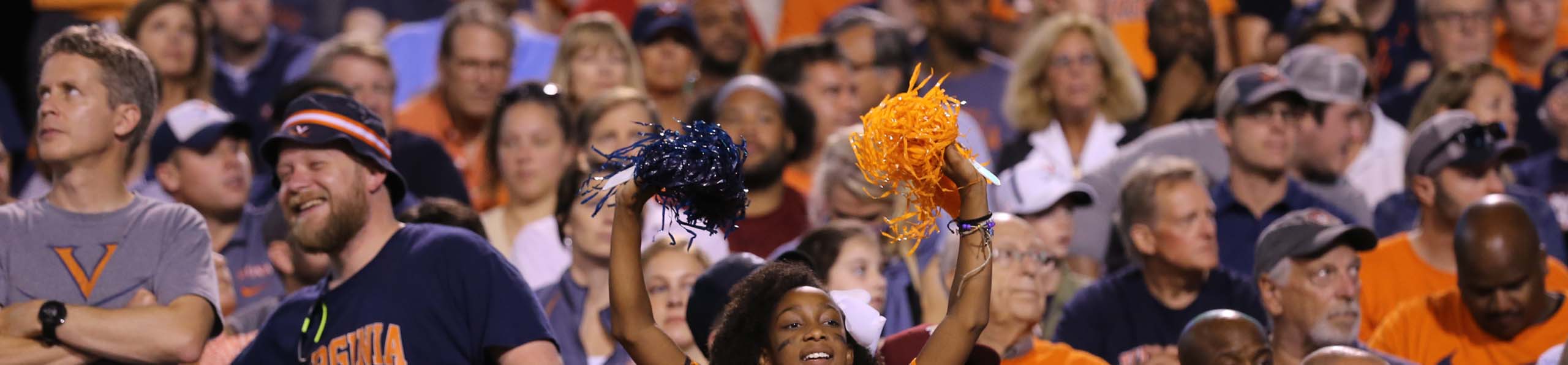 Fans in the stadium