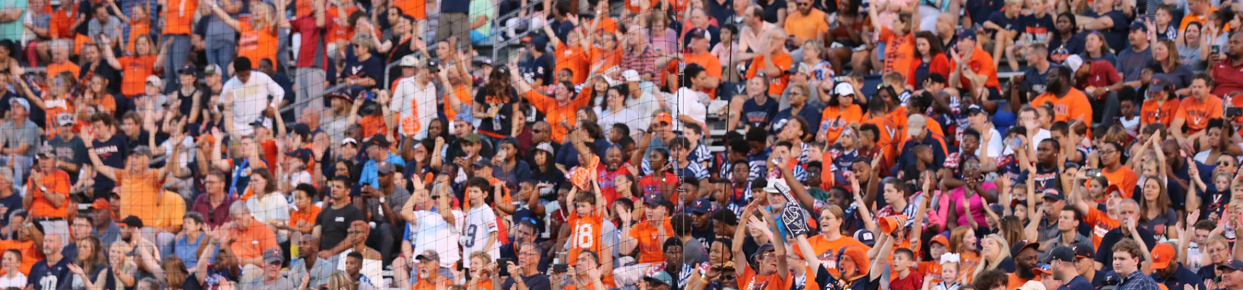 Fans in the stadium
